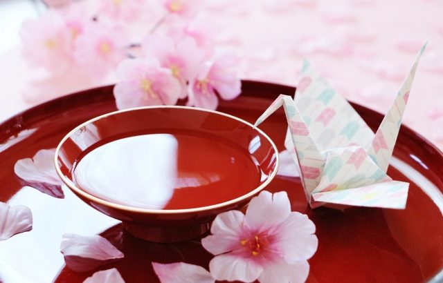 お花見は家飲みに限る！桜のウォールステッカーでお部屋を桜満開に！